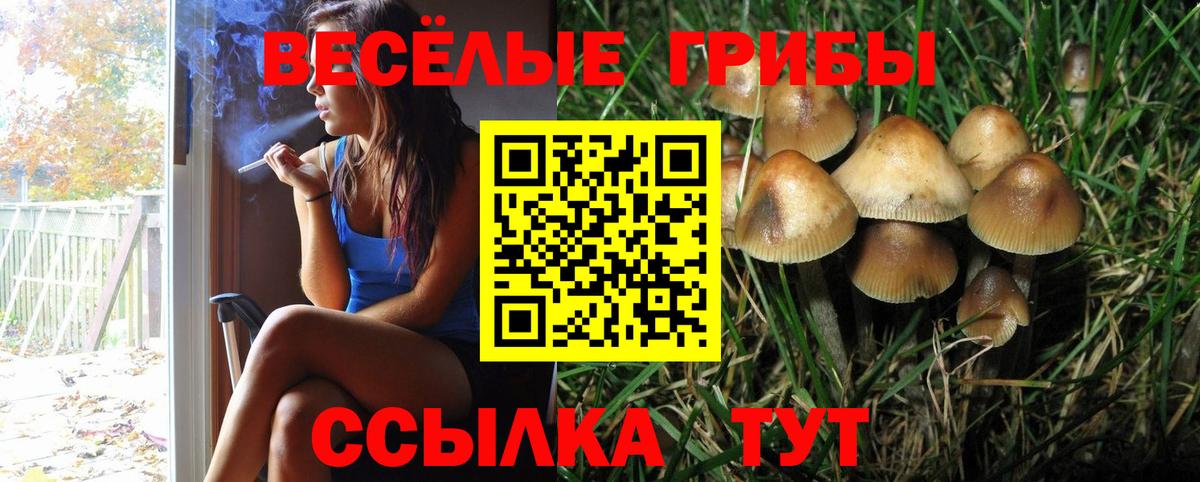 Галлюциногенные грибы Cubensis  Псилоцибиновые грибы MAGIC MUSHROOMS  Вход с VPN  Арзамас 